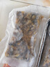 鮮享純新鮮速凍大號蟶子肉新鮮捕撈鮮剝無(wú)沙去殼純肉蟶子肉冷凍竹節蟶 1250g 冷凍蟶子肉每包1.25斤共2.5斤 曬單實(shí)拍圖