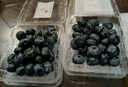 春公子秘魯藍莓【JD送貨上門(mén)】新鮮進(jìn)口藍莓鮮果寶寶輔食中秋節送禮品 【80%人選擇】品質(zhì)嘗鮮 單果15mm+ 4盒 | 爽吃裝【100-125g/盒】 曬單實(shí)拍圖