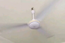 鉆石牌（DIAMOND）吊扇電風(fēng)扇銅芯電機(jī)銅線家用吊頂風(fēng)扇56吋工業(yè)工廠車間客廳吊風(fēng)扇大風(fēng)力宿舍電扇 56寸加強(qiáng)版（銅芯電機(jī)） 曬單實(shí)拍圖