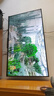 Vidda海信電視43英寸4K超高清2+32液晶電視智能彩電護眼液晶電視機政府補貼電視國家補貼入口43寸吋 43英寸 升級款 4K超高清畫質(zhì) 曬單實拍圖