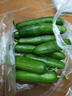 壽光水果黃瓜山東時(shí)令果蔬小青瓜蔬菜火鍋食材清脆爽口產(chǎn)地直發(fā) 水果黃瓜帶箱1斤【嘗鮮】 曬單實(shí)拍圖