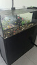 YEE南美溪流缸超白玻璃魚(yú)缸客廳家用底濾蘭壽金魚(yú)帶柜子一體缸自循環(huán) 黑拉絲【無(wú)邊框黑膠工藝】 【金晶超白玻璃】100*37*120cm/底拉筋 曬單實(shí)拍圖