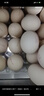 1號會(huì )員店可生食雞蛋30枚凈重3.6斤精選大碼蛋禮盒裝 源頭直發(fā) 曬單實(shí)拍圖