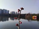 飛科（FLYCO） 智能剃須刀電動刮胡刀雙頭旋轉(zhuǎn)式全身水洗便攜款迷你男士胡須刀生日禮物送男友父親FS887  曬單實(shí)拍圖