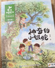 金波四季童話 金波四季美文 金波四季橋梁書兒歌 花瓣兒魚樹和喜鵲等彩圖注音版美繪自選  兒童文學(xué)小學(xué)生一二年級課外閱讀書籍 長江少年兒童出版社 新華正版 金波四季童話注音版全套4冊 曬單實拍圖