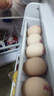 志高（CHIGO）雙門(mén)冰箱家用小型一級能效辦公室出租房宿舍用雙開(kāi)門(mén)中型二門(mén)電冰箱節能省電 一級能效-擱架款102L【冷凍一層 冷藏三層】 曬單實(shí)拍圖
