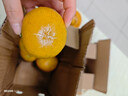 云南蜜橘早熟桔子新鮮水果當季酸甜薄皮青皮橘子孕婦整箱蜜橘 帶箱2斤（55mm起） 曬單實(shí)拍圖