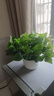 百動(dòng)仿真綠蘿葉盆栽假花人造綠植室內假植物裝飾塑料花卉桌面羅馬白色 曬單實(shí)拍圖
