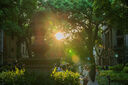 尼康（Nikon） 全畫(huà)幅微單Z卡口定焦鏡頭 Z50mmF1.8 S【 標準 】 官方標配 曬單實(shí)拍圖