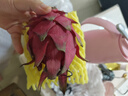 京鮮生 廣西樹(shù)上熟紅心火龍果4.5斤裝 單果300g+ 生鮮水果 源頭直發(fā) 曬單實(shí)拍圖