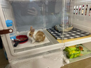 蔻絲兔子籠子特大號帶廁所防噴尿室內養荷蘭豬用品 曬單實(shí)拍圖