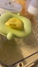 浦利頓（PLODON）嬰兒輔食盒 玻璃可蒸煮 儲存盒家用冷凍格保鮮蛋糕模具輔食碗工具 曬單實(shí)拍圖