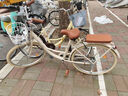 飛鴿（FLYING PIGEON）自行車(chē)成人通勤車(chē)自行車(chē)學(xué)生單車(chē)成人自行車(chē)通勤自行車(chē)女士自行車(chē) 標配奶油米|單速|(zhì)輻條輪+禮包 26寸適合160-185cm 曬單實(shí)拍圖