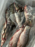 御瀘鮮湘正宗微山湖野鯽魚(yú)土鯽魚(yú)鮮活現殺現發(fā)淡水鯽魚(yú)大鯽魚(yú)小鯽魚(yú)批發(fā) 小鯽魚(yú)6斤裝(6-9條/斤)順豐發(fā)貨 曬單實(shí)拍圖