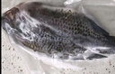 GUO LIAN國聯(lián)水產(chǎn) 三去羅非魚(yú)6條/4.2斤凈重 非洲鯽魚(yú)紅燒魚(yú)食材源頭直發(fā) 曬單實(shí)拍圖
