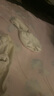 蕉下襪子男士短襪中筒襪棉質(zhì)防臭四季抗菌吸汗運動(dòng)緩震休閑襪 25新款 曬單實(shí)拍圖