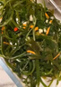 鮮海帶 鹽漬海帶絲 涼拌菜海帶絲食材鮮嫩 新鮮鹽漬海帶絲250g 曬單實(shí)拍圖