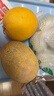 正宗新疆黃金哈密瓜當季新鮮特產(chǎn)水果特產(chǎn)金色年華哈密瓜西州小蜜 金色年華【6-7斤】2顆裝 JD/順豐快遞送貨上門(mén) 曬單實(shí)拍圖