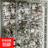 免清理八爪魚(yú)新鮮冷凍短腿章魚(yú)網(wǎng)紅爆頭鹽揉小八爪魚(yú)鮮活速凍商用 無(wú)冰八爪魚(yú) 1斤(凈重) 曬單實(shí)拍圖