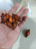 陳一凡梔子茶 精選大顆粒梔子果山梔子黃梔子花茶泡水喝花草茶袋裝500g 曬單實(shí)拍圖