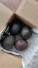 牛油果 秘魯進(jìn)口哈斯牛油果 寶寶輔食孕婦水果【綠果發(fā)需催熟】 4個(gè) 單果100g-130g 曬單實(shí)拍圖