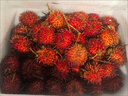 京鮮生紅毛丹 單果30g 帶箱3斤 凈2.8斤 中秋節(jié)送禮 生鮮水果 源頭直發(fā) 曬單實(shí)拍圖