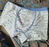 紅豆兒童內褲男童棉質(zhì)平角短褲A類(lèi)抑菌內褲青少年四角短褲衩K4001 150 曬單實(shí)拍圖