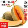 正宗哈密瓜西州蜜大果甜瓜新鮮采摘蜜瓜脆甜多汁整箱 哈密瓜4-5斤（1-2粒裝） 曬單實(shí)拍圖