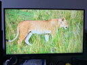 華碩ROG 絕神27 XG27UCG 27英寸顯示器電競(jìng)4K 160Hz雙模1K 320Hz HDR400 G-sync兼容Type-C HDMI2.1 曬單實(shí)拍圖