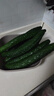 新鮮黃瓜現摘現發(fā)新鮮蔬菜生鮮可生吃炒菜非水果黃瓜 帶箱 4斤 凈重 曬單實(shí)拍圖