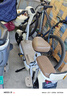 飛鴿電動(dòng)車(chē)鋰電成人女生女士小型電動(dòng)自行車(chē)輕便電單車(chē)2025新款電瓶車(chē)兩輪車(chē) 糯米白【新升級款/可上牌照/智能快充】 【鉛酸】12A石墨烯/可提充電/助力續航70km 曬單實(shí)拍圖