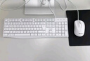 聯(lián)想來(lái)酷 Lecoo一體臺式機電腦27英寸(N100 16G內存 512GB SSD 無(wú)線(xiàn)鍵鼠 正版系統) 白 曬單實(shí)拍圖