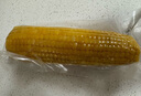 佳農 內蒙黃糯玉米棒8袋*220g 軟糯香甜 真空鎖鮮 源頭直發(fā) 禮盒包郵 曬單實(shí)拍圖