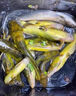 釣幫手釣魚(yú)餌餌料大全野釣通殺一包搞定四季通用鯽魚(yú)鯉魚(yú)路亞打窩魚(yú)餌料 1包裝【釣不盡興】體驗裝120g 曬單實(shí)拍圖