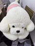 HKFZ趴趴狗抱枕泰迪熊狗狗玩偶小熊毛絨玩具靠枕女生日七夕情人節禮物 珍珠白[毛衣狗] 現貨現發(fā) 90厘米[m號 代寫(xiě)賀卡] 曬單實(shí)拍圖