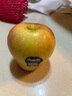 京鮮生 Mr Apple新西蘭Dazzle丹爍蘋(píng)果12粒 單果130-170g 中秋水果禮盒 曬單實(shí)拍圖