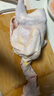 CP正大食品老母雞2.8斤  冷凍 飼養(yǎng)500天 老母雞 月子姨媽期煲湯  曬單實(shí)拍圖