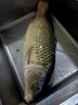 海迪大力馬子線(xiàn)雙鉤成品pe線(xiàn)綁好魚(yú)鉤套裝全套金袖伊勢尼新關(guān)東釣魚(yú)鉤 金袖有刺【鉤3/4+線(xiàn)0.2/0.3】 各20付 曬單實(shí)拍圖