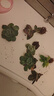 百潮盛多肉植物多肉精選隨機套餐不重復陽(yáng)臺辦公室陽(yáng)臺室內高端品種爆款 隨機6顆多肉不重復 曬單實(shí)拍圖