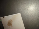 綠葉蟑螂粘板捕捉蟑螂器蟑螂貼粘板紙家用滅蟑螂 20片一盒裝 曬單實(shí)拍圖