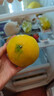 福建平和黃金爆汁葡萄柚新鮮樹(shù)熟應季水果清甜多汁 1斤嘗鮮約2-3個(gè) 曬單實(shí)拍圖