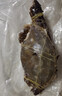 舟山梭子蟹鮮活特大野生大螃蟹新鮮冷凍海鮮水產(chǎn)海蟹飛蟹白蟹順豐 7-9兩/只【5斤凈重 特大肥壯】 曬單實(shí)拍圖
