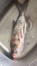 名倫魚海皇魚竿手竿高碳超輕硬十大品牌19調(diào)28調(diào)黑坑臺釣竿鰱鳙桿 6.3m 4H28調(diào)超輕6.3米送竿稍+禮包 曬單實拍圖