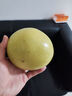 福建平和老樹(shù)紅柚 新鮮現摘 皮薄肉厚多汁 蜜柚柚子 1-1.5斤（嘗鮮） 曬單實(shí)拍圖