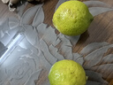 四川安岳青檸檬新鮮水果精選皮薄特產(chǎn)孕婦營(yíng)養檸檬青產(chǎn)地直發(fā)包郵 安岳青檸檬2粒 單果80g+ 曬單實(shí)拍圖