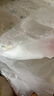 糧全其美手抓餅 蔥香味100g*20片 蔥油餅 培根香腸伴侶早餐半成品 曬單實(shí)拍圖