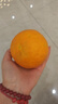 果陸園四川愛(ài)媛38號果凍橙 當季柑橘桔子新鮮當季水果柑橘桔子時(shí)令 整箱4-4.5斤 果徑70-80MM 凈3.5斤 曬單實(shí)拍圖