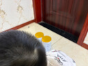佳貝艾特（Kabrita）悅白乳鐵蛋白兒童調制羊乳粉4段 3歲以上 800g 荷蘭原裝原罐進(jìn)口 曬單實(shí)拍圖