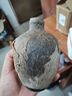 環(huán)臺貴州醬香型白酒53度糧食酒高粱酒老窖封壇原漿酒 53度 500mL 1壇 曬單實(shí)拍圖