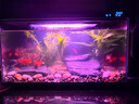 瘋狂水草溪流石溪流底沙溪流缸生態(tài)魚(yú)缸造景全套適合米家魚(yú)缸造景套餐一體 曬單實(shí)拍圖